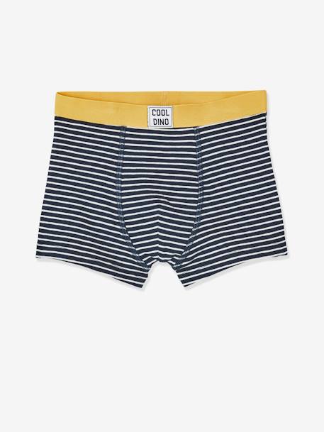 Set van 5 stretch jongensboxers Dino SET 5 - vertbaudet enfant 