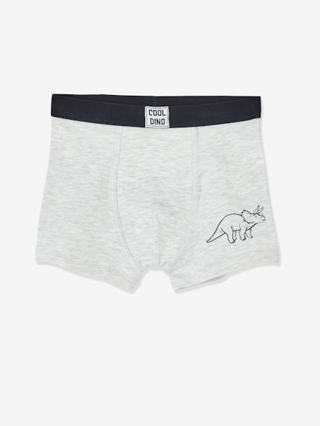 Set van 5 stretch jongensboxers Dino SET 5 - vertbaudet enfant 