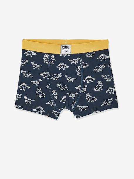 Set van 5 stretch jongensboxers Dino SET 5 - vertbaudet enfant 