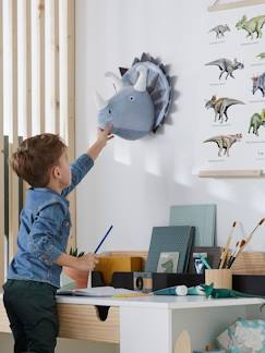 -Triceratops muur trofee