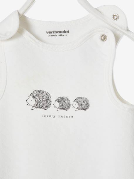 Set boxpakje + romper + knuffel van biologisch katoen ivoor - vertbaudet enfant 