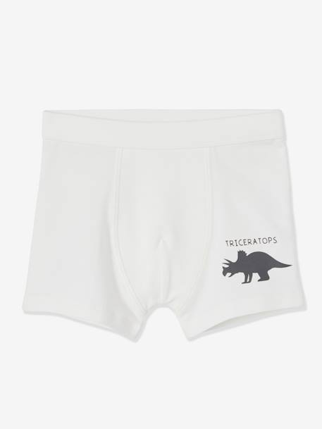 Set van 7 stretchboxers voor jongens Dino's Oeko-Tex® Set ivoor - vertbaudet enfant 