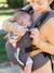 Draagzak Cuddle up INFANTINO grijs+Grijs/vossenkap - vertbaudet enfant 