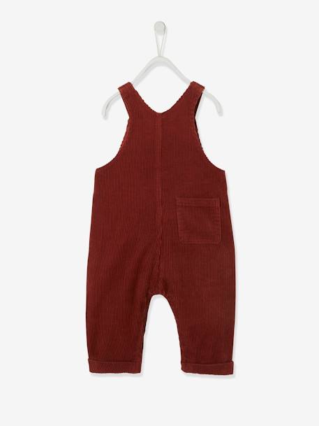 Velours tuinbroek baby jongen terracotta - vertbaudet enfant 