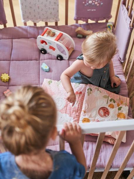 Ontwikkelingsboek + fluwelen knuffels ROZE LAND meerkleurig - vertbaudet enfant 