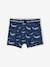 Set van 5 Oeko-Tex® stretch jongensboxers walvissen Set blauw - vertbaudet enfant 