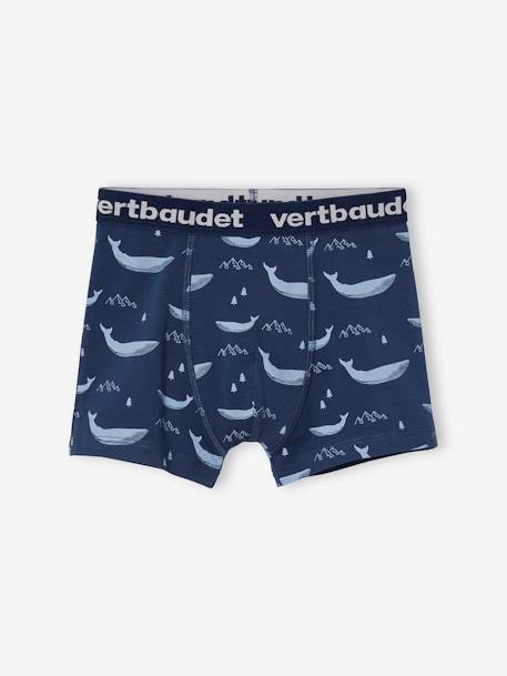 Set van 5 Oeko-Tex® stretch jongensboxers walvissen Set blauw - vertbaudet enfant 