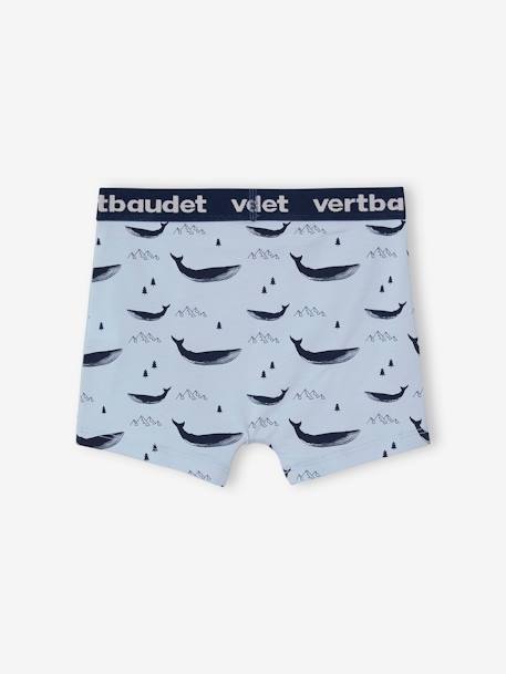 Set van 5 Oeko-Tex® stretch jongensboxers walvissen Set blauw - vertbaudet enfant 