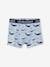 Set van 5 Oeko-Tex® stretch jongensboxers walvissen Set blauw - vertbaudet enfant 