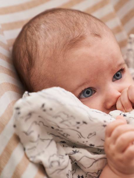 Elastische hoes voor kinderzitjes van Groep 0+ beige gestreept+gestreept ivoor+marine met sterrenprint+theeroze - vertbaudet enfant 