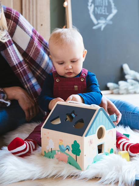 Huis van houten vormpjes meerkleurig - vertbaudet enfant 