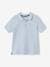Poloshirt met korte mouwen voor jongens met borduurwerk op de borst felblauw+grijs gechineerd+HEMELBLAUW+lichtkaki+MARINEBLAUW+pastelgeel+ROOD+wit - vertbaudet enfant 