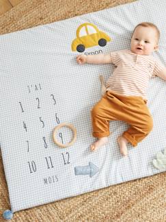 Speelgoed-Eerste levensjaren-Babytapijt met foto in katoengaas IN DE AUTO SIMON!