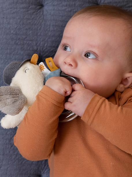 Matrozen zeemeeuw rammelaar - LITTLE DUTCH lichtblauw - vertbaudet enfant 