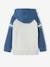 Sweater met capuchon, grafisch motief en raglanmouwen MEDIUM BLAUW - vertbaudet enfant 