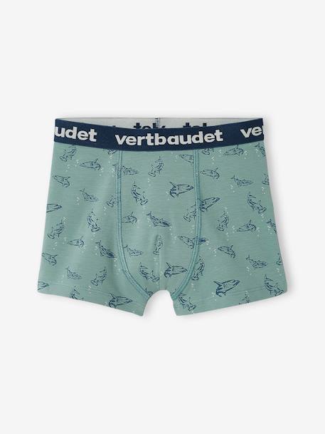 Set met 5 stretch boxers 'haaien' voor jongens Set blauw - vertbaudet enfant 