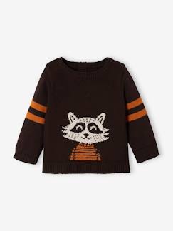 Baby-Trui, vest, sweater-Trui-Babytrui Wasbeer van tricot