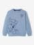 Sweatshirt jongens Pat Patrol® Grijsblauw - vertbaudet enfant 