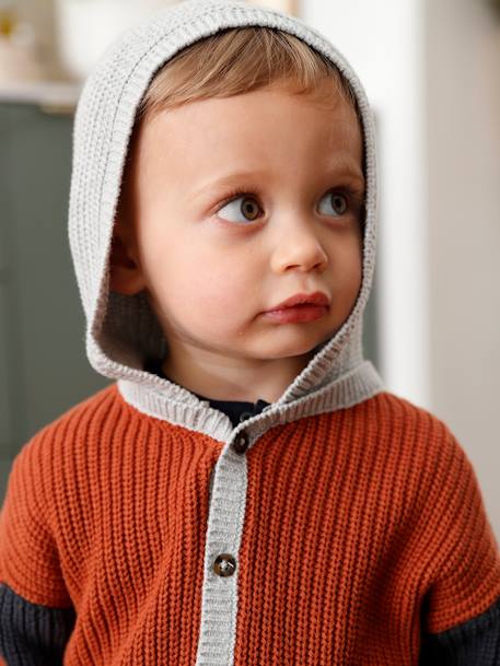 Tricot babyvestje met capuchon roest - vertbaudet enfant 