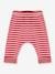 Gestreepte babybroek in tubing - PETIT BATEAU rood - vertbaudet enfant 