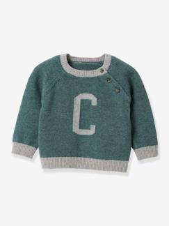 Baby-Trui, vest, sweater-Trui-Babytrui in lamswol CYRILLUS