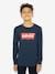 T-shirt Batwing Levi's¨ grijs+marineblauw - vertbaudet enfant 