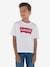 Batwing-Jongensshirt van Levi's¨ blauw+wit - vertbaudet enfant 