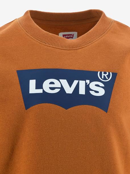 Sweater voor jongens Batwing Crewneck van Levi's® grijs+marineblauw - vertbaudet enfant 