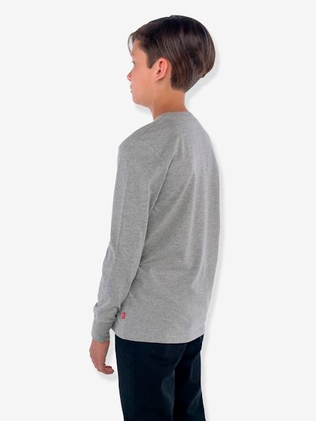 T-shirt Batwing Levi's¨ grijs+marineblauw - vertbaudet enfant 