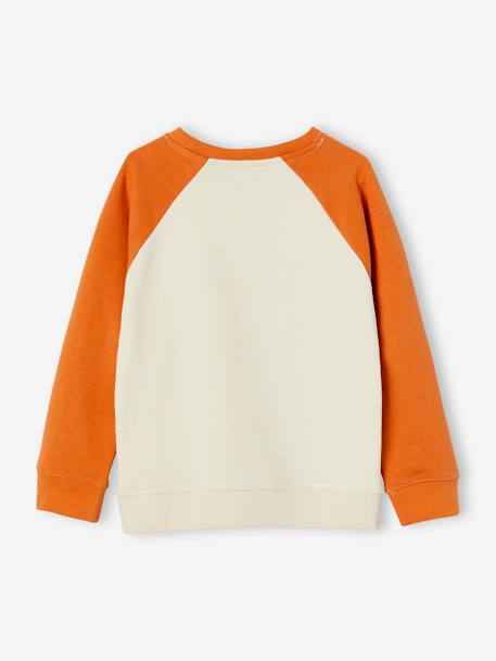 Sweatshirt 'cool surf' voor jongens met colorblock effect meerkleurig - vertbaudet enfant 