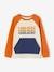 Sweatshirt 'cool surf' voor jongens met colorblock effect meerkleurig - vertbaudet enfant 