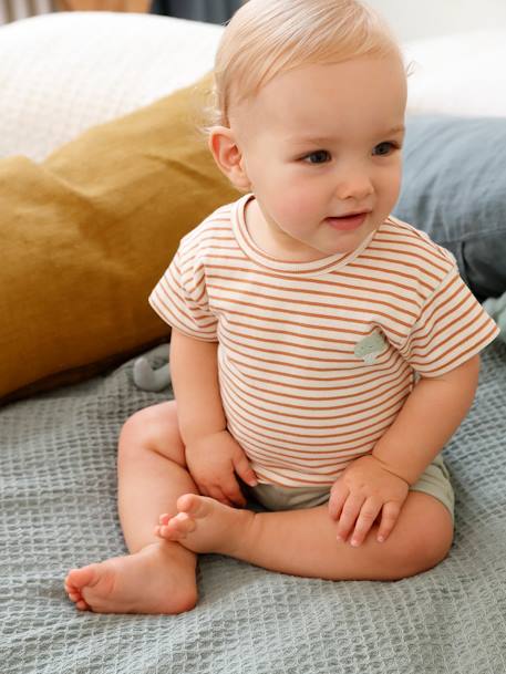Set van 2 T-shirts voor uw baby, met korte mouwen ijsblauw - vertbaudet enfant 