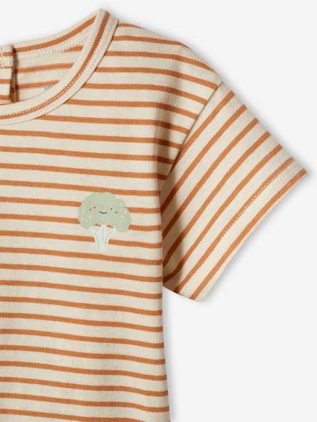 Set van 2 T-shirts voor uw baby, met korte mouwen ijsblauw - vertbaudet enfant 