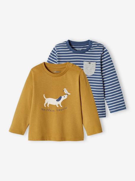 Set van 2 shirts met dierenmotief en strepen brons - vertbaudet enfant 