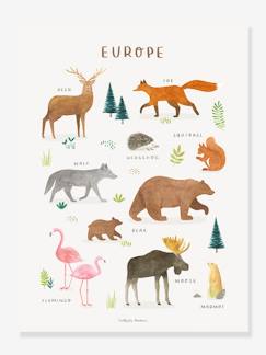 Poster dieren van Europa Lilydale LILIPINSO  - vertbaudet enfant
