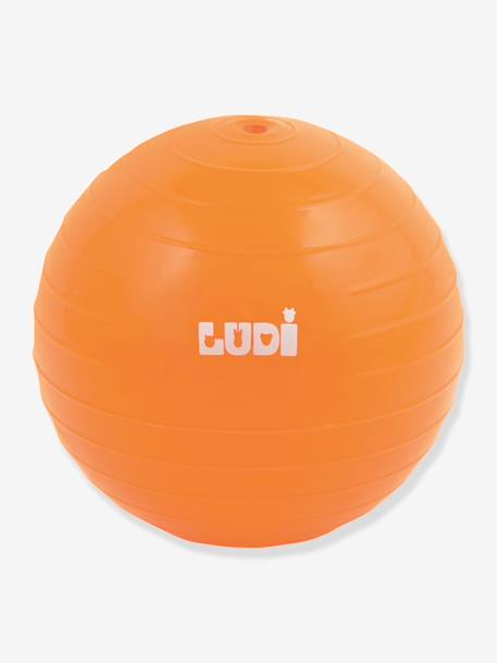 3 activiteitenballen LUDI meerkleurig - vertbaudet enfant 