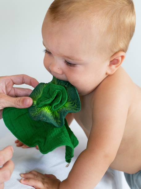 Miniknuffel Kendall de Boerenkool - OLI & CAROL groen - vertbaudet enfant 