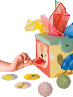 Speelgoed-Eerste levensjaren-Magic Box - TAF TOYS