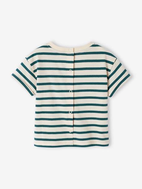 Baby capsule t-shirt zeemansfamilie groen, gestreept - vertbaudet enfant 