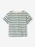 Baby capsule t-shirt zeemansfamilie groen, gestreept - vertbaudet enfant 