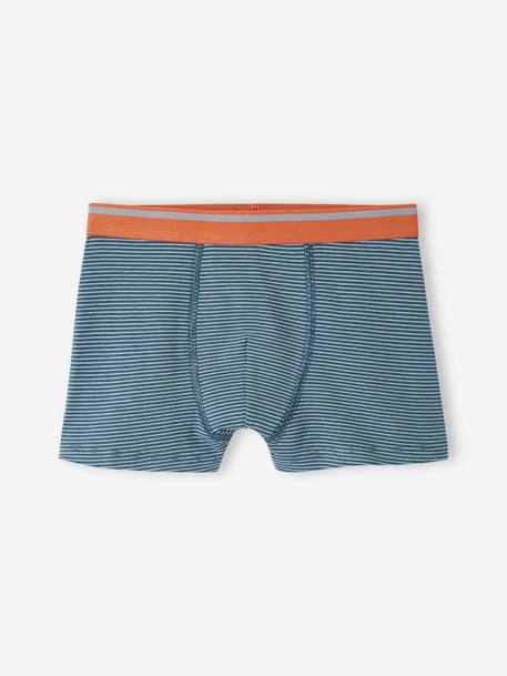 Set met 5 stretch boxers Yéti voor jongens grijsblauw - vertbaudet enfant 