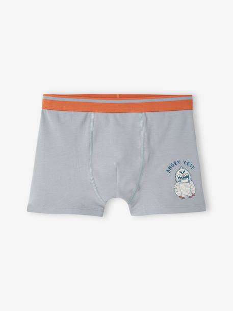 Set met 5 stretch boxers Yéti voor jongens grijsblauw - vertbaudet enfant 