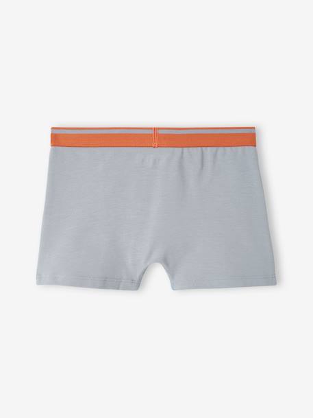 Set met 5 stretch boxers Yéti voor jongens grijsblauw - vertbaudet enfant 