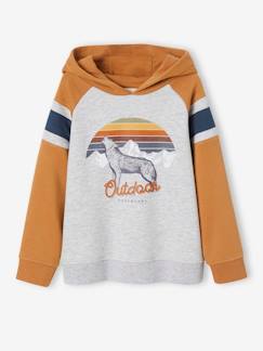 -Jongenssweater met capuchon, grafisch motief en raglanmouwen