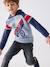 Jongenssweater met capuchon, grafisch motief en raglanmouwen Engels groen+nachtblauw+pecannoot - vertbaudet enfant 
