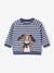 Gestreept sweatshirt van molton baby blauw, gestreept+leiblauw - vertbaudet enfant 