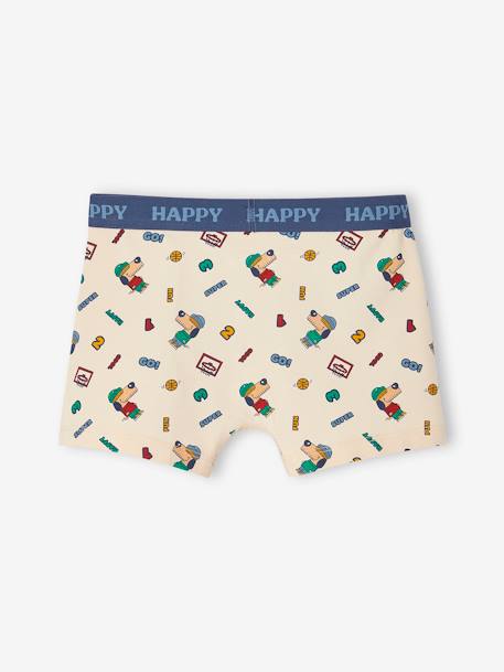 Set met 5 stretch boxers hond voor jongens grijsblauw - vertbaudet enfant 