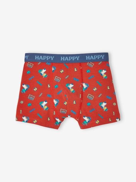 Set met 5 stretch boxers hond voor jongens grijsblauw - vertbaudet enfant 