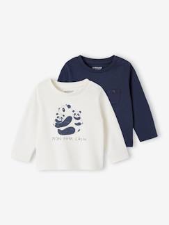 Set van 2 T-shirts Basics baby lange mouwen  - vertbaudet enfant