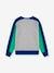 Levi's® colourblock logo sweatshirt gemêleerd grijs - vertbaudet enfant 